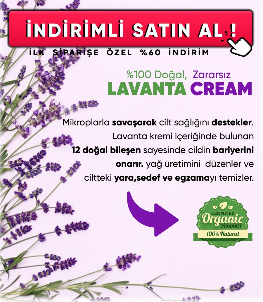 Promotional Imasge 1