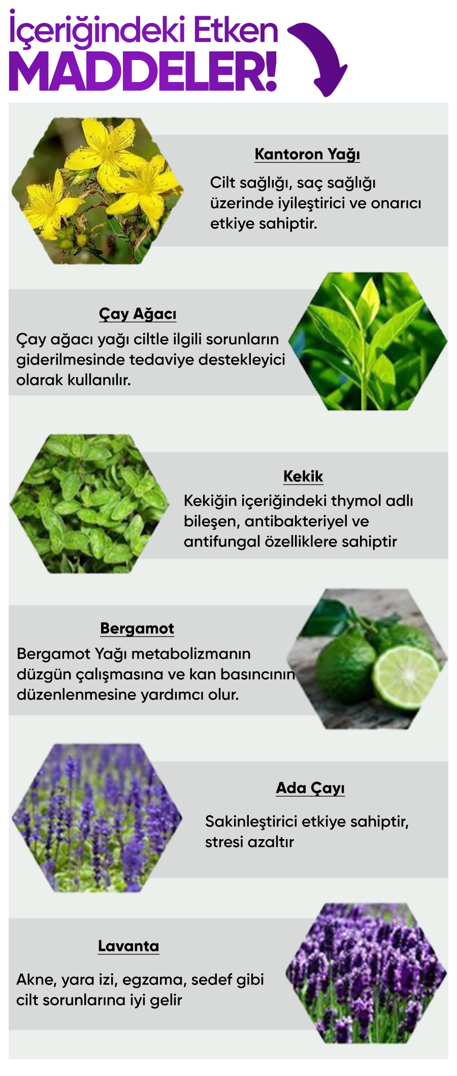 Promotional Imasge 1