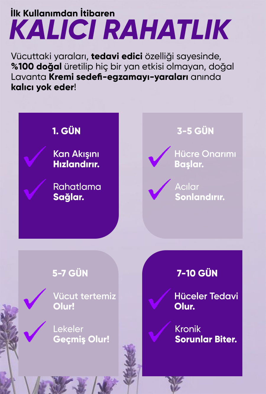 Promotional Imasge 1